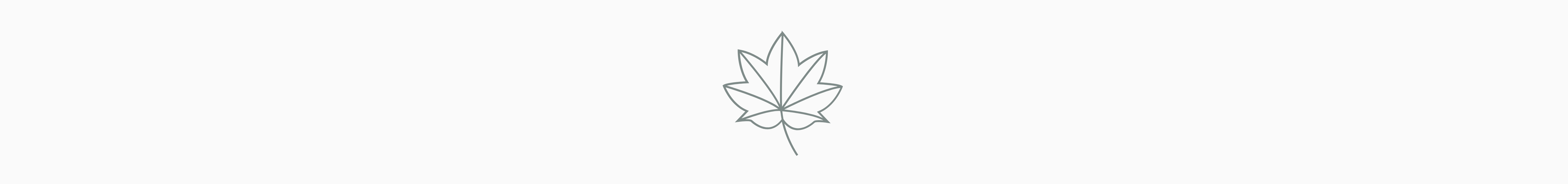 Maple-leaves-icon